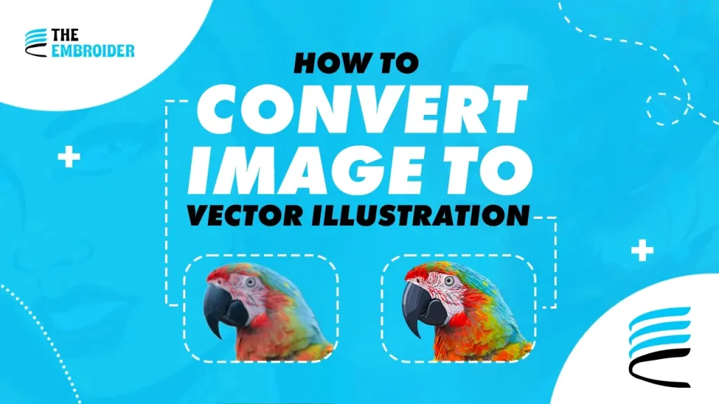 Before and after example showing conversion of a parrot image to vector illustration