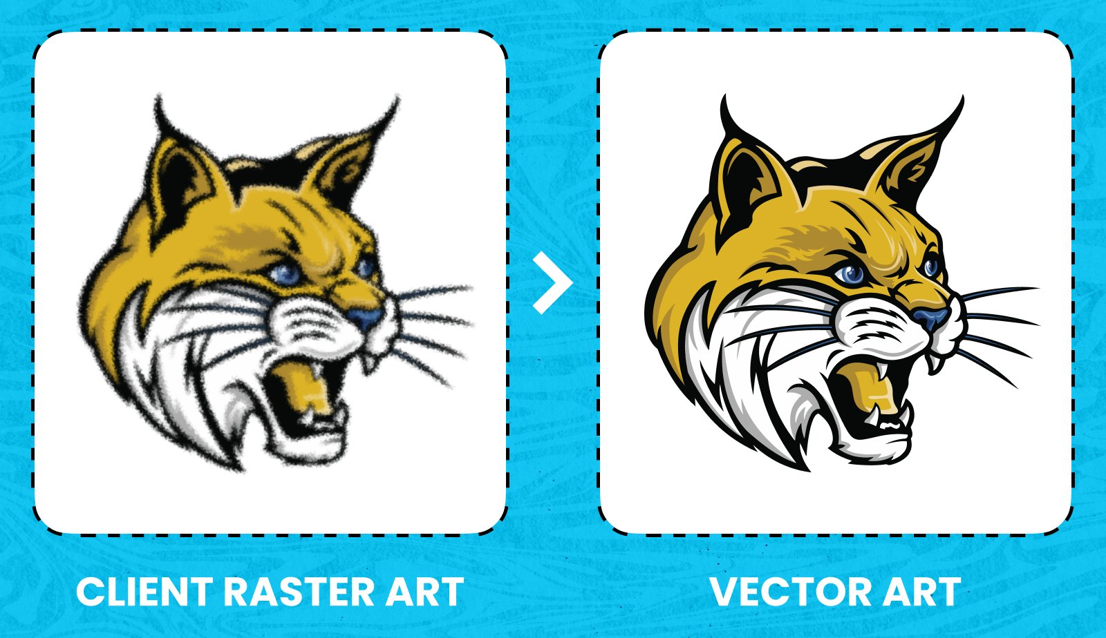 Blurry raster wildcat logo compared with a detailed vector logo after vector tracing